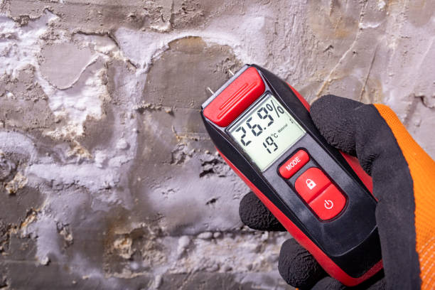 Certified Mold Removal in Sun City West, AZ